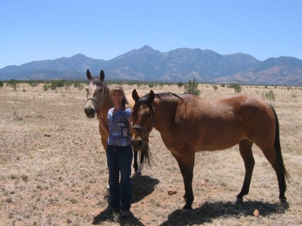 Horses_in_Sonoita