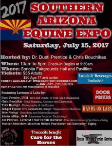 southern arizona equine expo